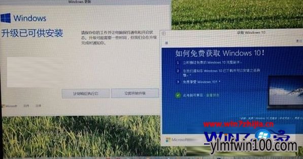 ΢win10/win8.1ϵͳûwin10ʽͨ