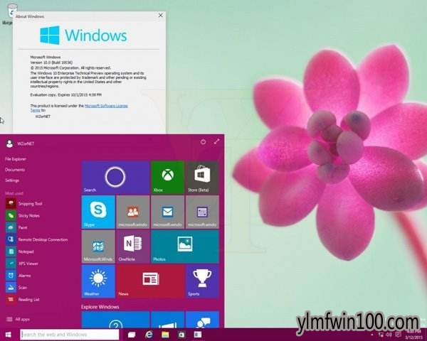 win10רҵ win10 64λ򴿾v2019.08