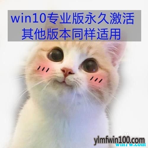 win10Կwin10רҵü 汾ͬ