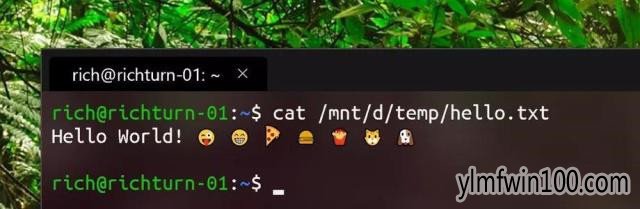 ΢Ƴ¿йWindows Terminal Ԥ